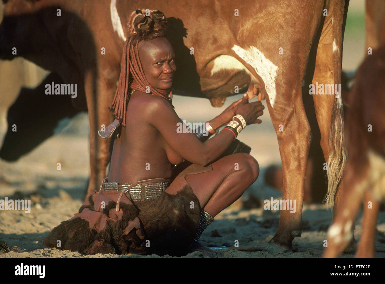Femme Himba sur ses hanches traire une vache Banque D'Images