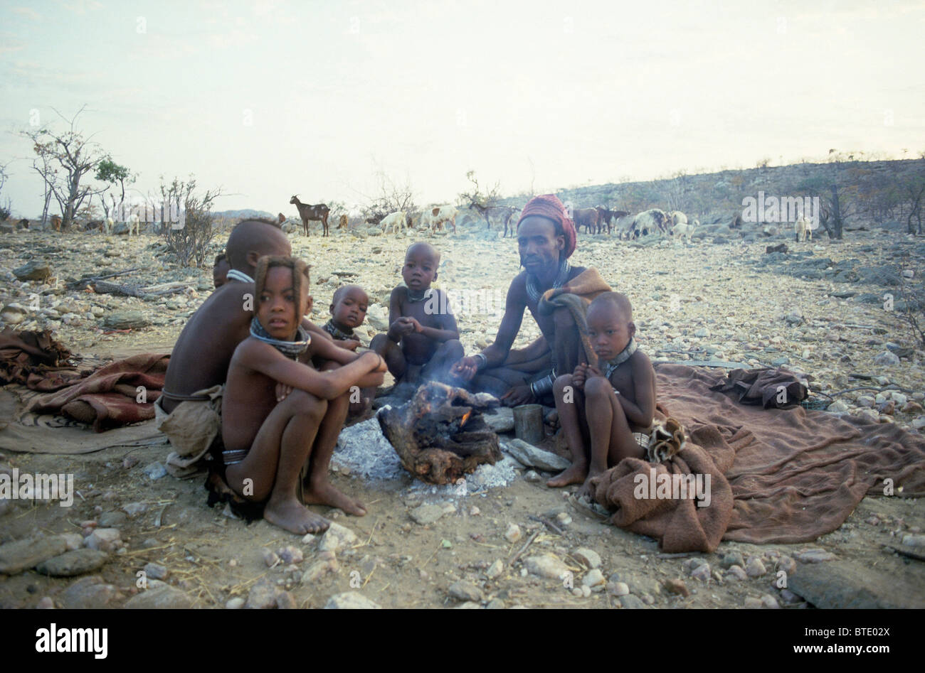 L'homme et des enfants Himba assis autour d'un feu avec les chèvres dans l'arrière-plan Banque D'Images