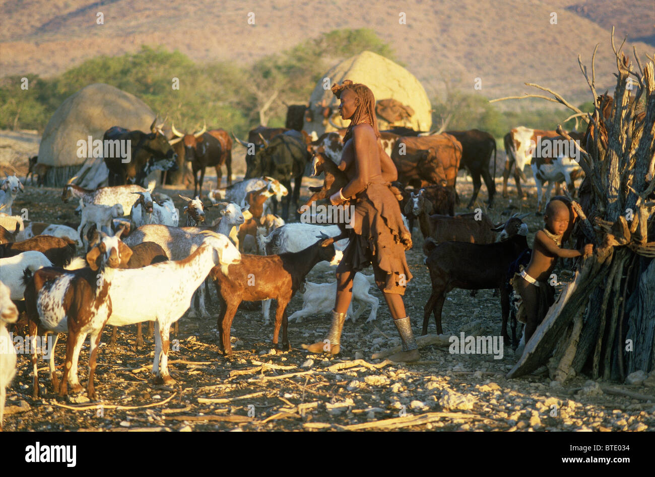 Une grande femme Himba marcher parmi un troupeau de chèvres avec un petit enfant à proximité Banque D'Images