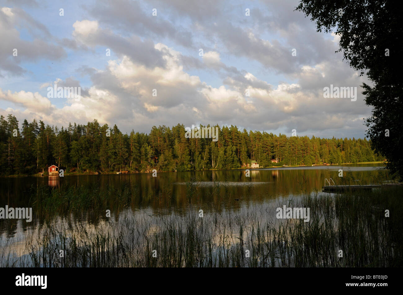 Vue sur un lac et forêt près de Laitila, l'ouest de la Finlande Banque D'Images