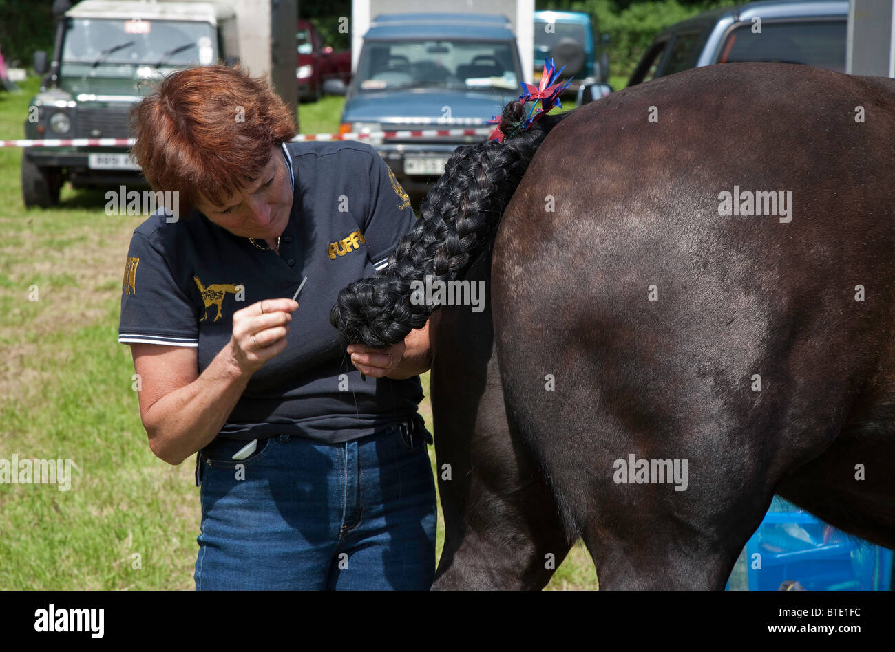 Salon de l'agriculture VENU DANS MONMOUTHSHIRE CHEPSTOW WALES UK Banque D'Images