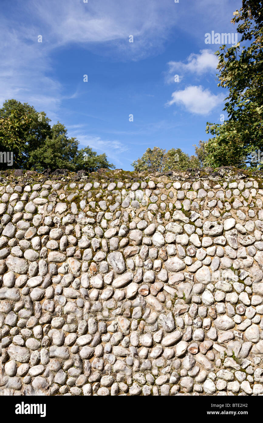 Norfolk traditionnel silex knapped mur frontalier et d'un ciel d'été à Norfolk, East Anglia, Angleterre Banque D'Images Norfolk traditionnel silex knapped mur frontalier et d'un ciel d'été à Norfolk, East Anglia, Angleterre Banque D'Images