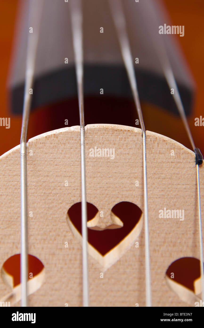 Close up de Cordes de violoncelle Banque D'Images
