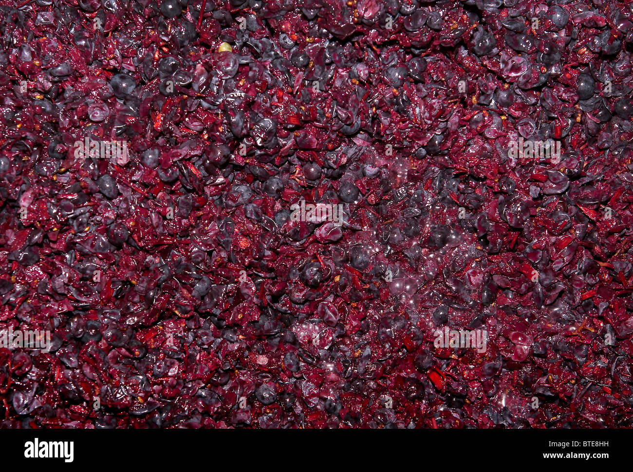 Vin rouge le raisin, de la Garnache variété, dans une cuve de fermentation dans une cave en Espagne Banque D'Images