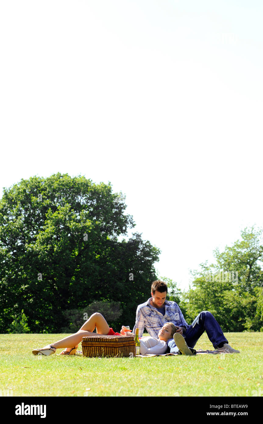 Couple enjoying picnic in park Banque D'Images