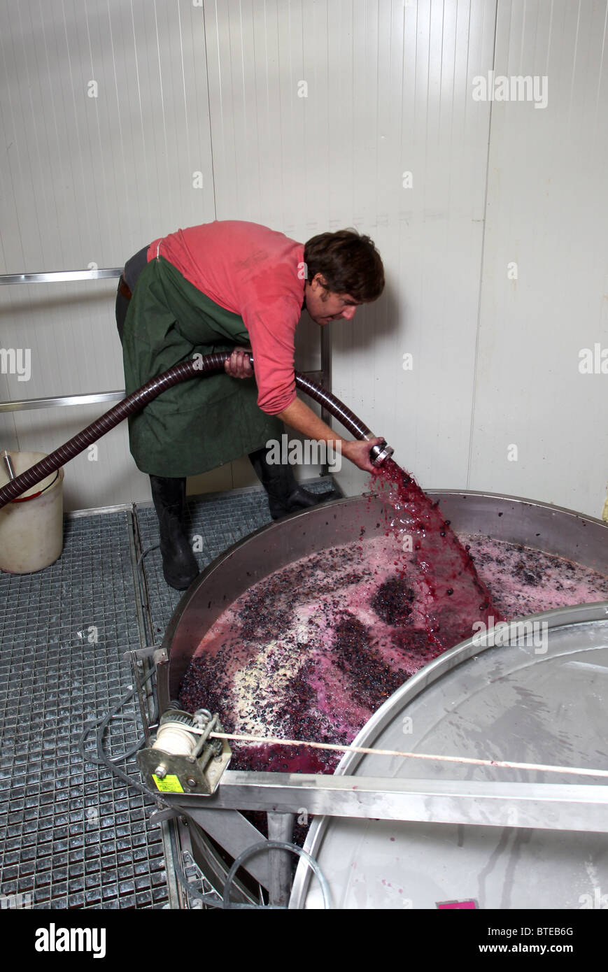 Le mélange du contenu de fermentation du raisin en cuve inox dans le processus de diffusion de vin rouge dans une cave Banque D'Images