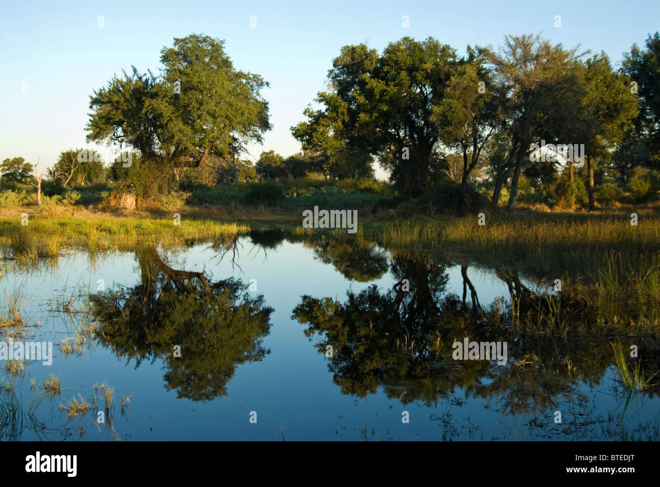 Vue panoramique sur un parc naturel entouré de pan arbres se reflétant dans l'eau Banque D'Images