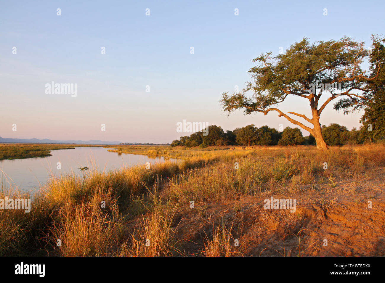Les banques du fleuve Zambèze long avec de l'herbe sèche et l'eau dans l'arrière-plan Banque D'Images