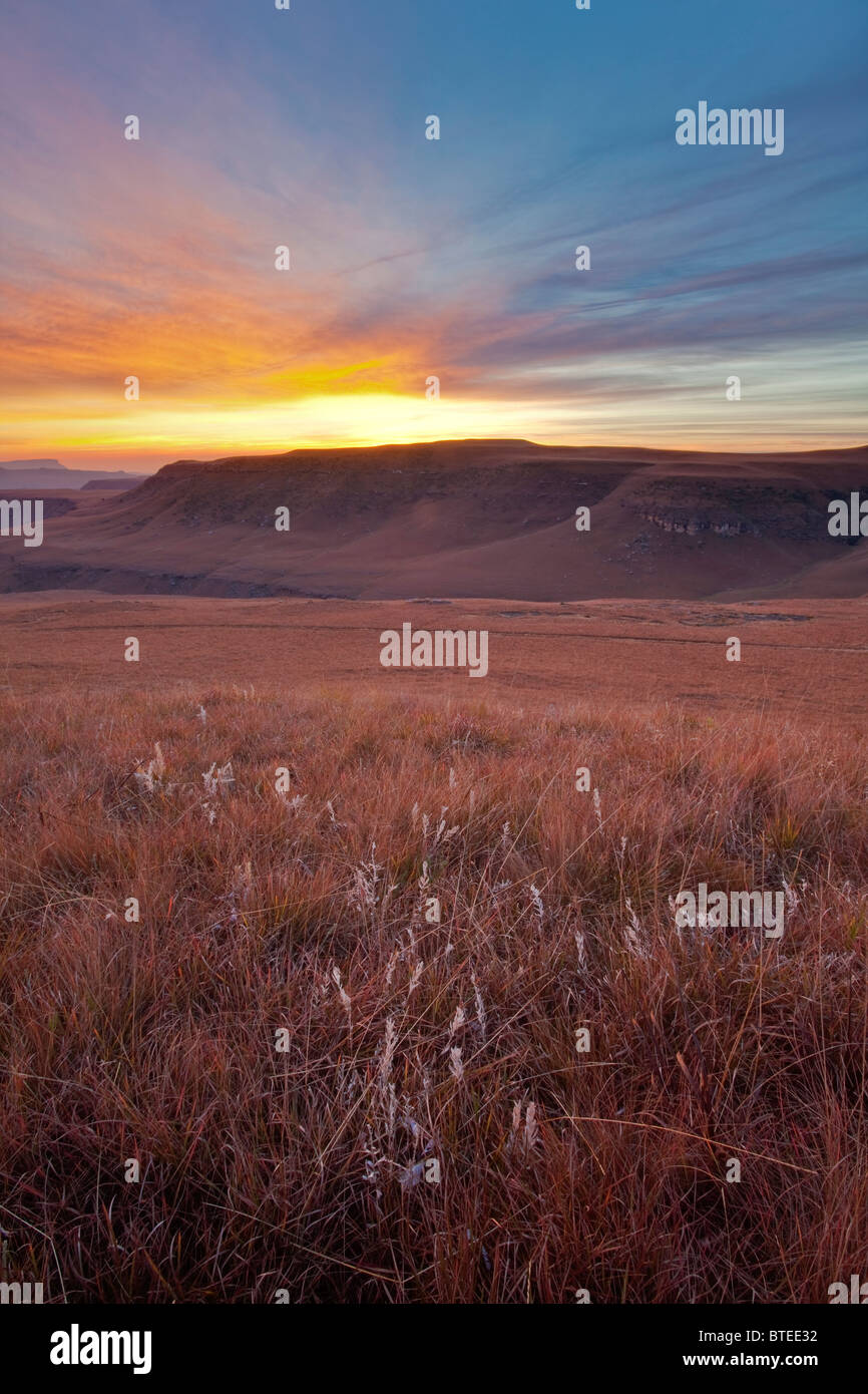 Lever du soleil sur les plaines d'herbe dans les montagnes du Drakensberg Banque D'Images