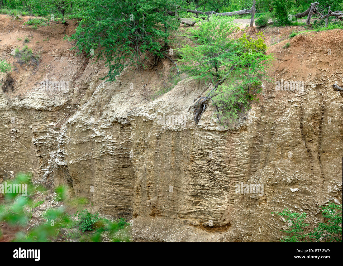Roches rouges avec des arbres pour les murs latéraux Banque D'Images