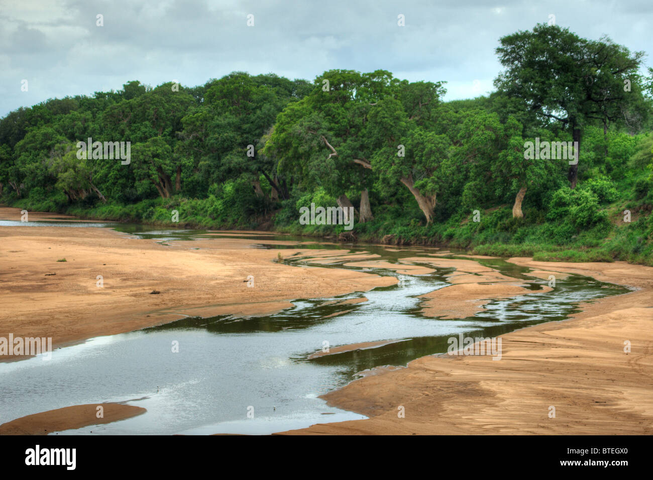 Shingwedzi lit du fleuve et de l'eau qui coule avec une épaisse végétation sur les berges Banque D'Images