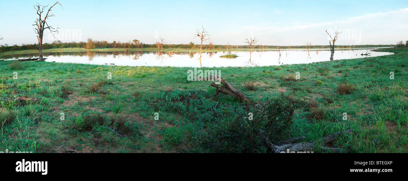 Vue panoramique du barrage Bateleur tôt le matin Banque D'Images