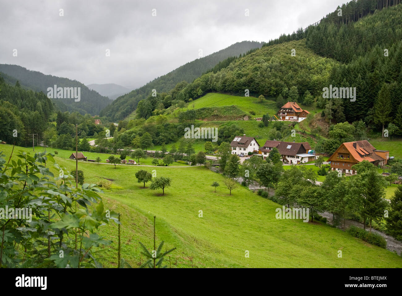 Beau paysage de la Forêt-Noire, Allemagne Banque D'Images