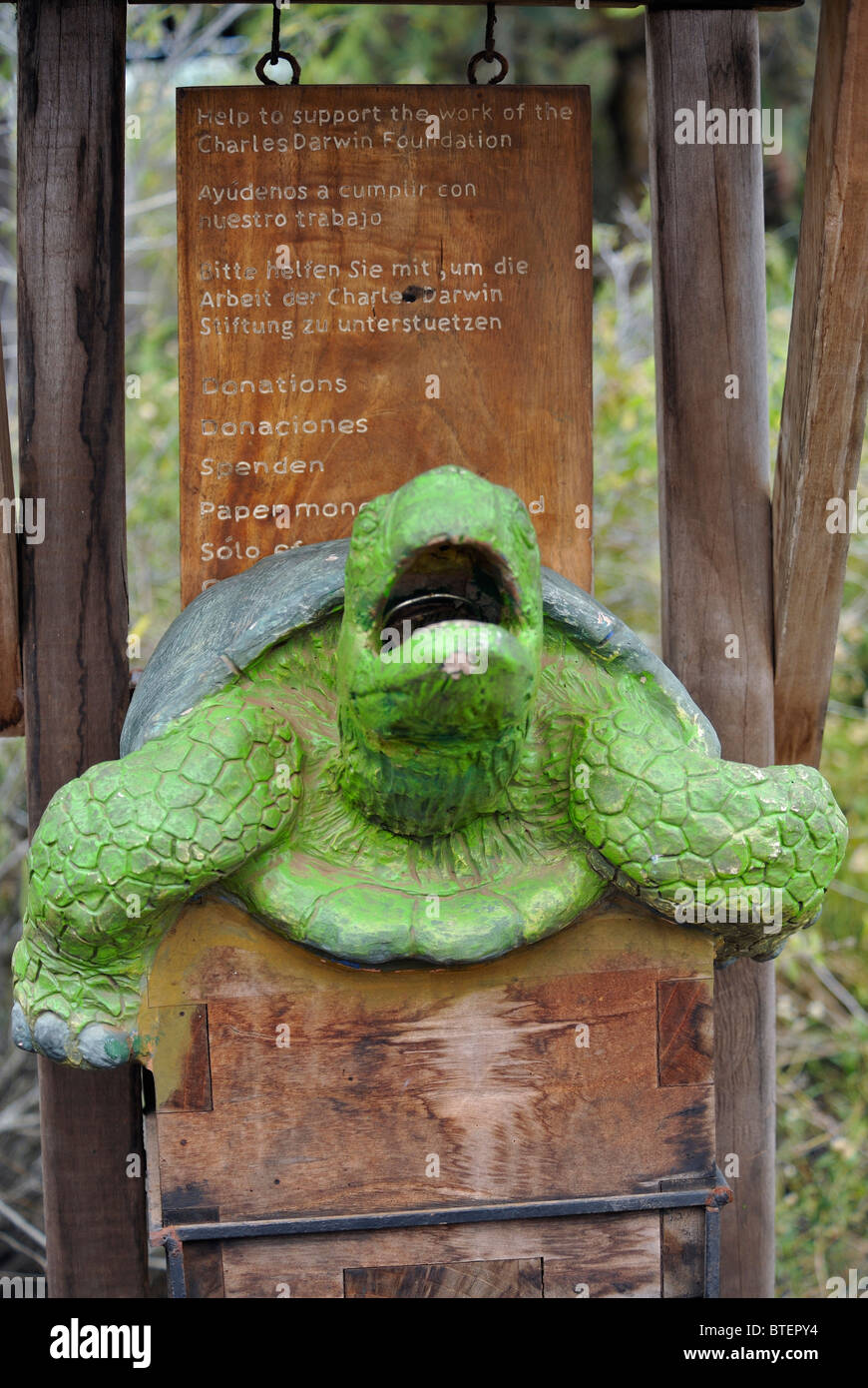 Tête d'une tortue en plastique de don à Charles Darwin Research Station, Galapagos, Equateur Banque D'Images