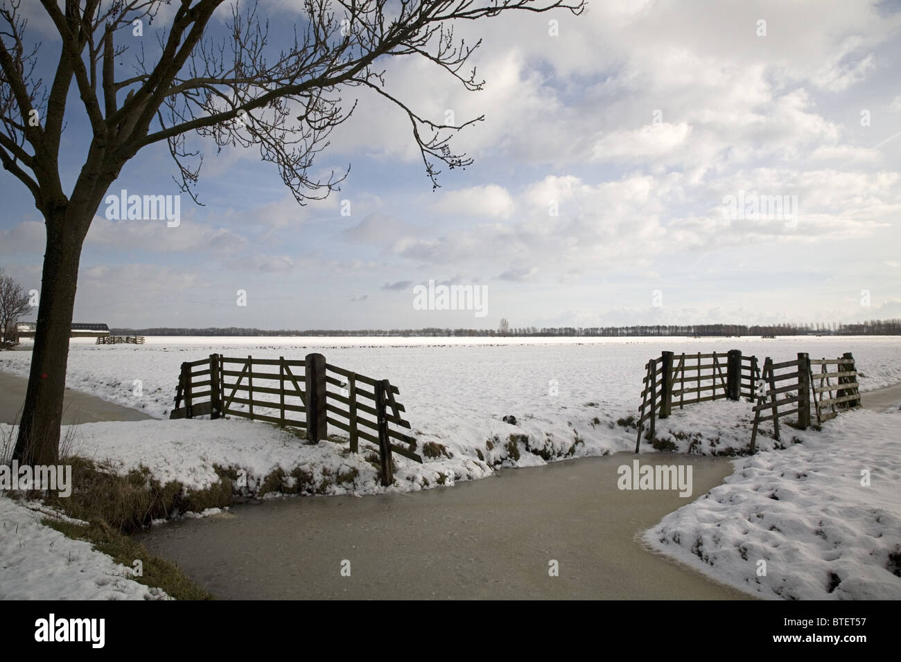 Dans un paysage d'hiver, des polders néerlandais Alblasserwaard, South-Holland, Pays-Bas Banque D'Images