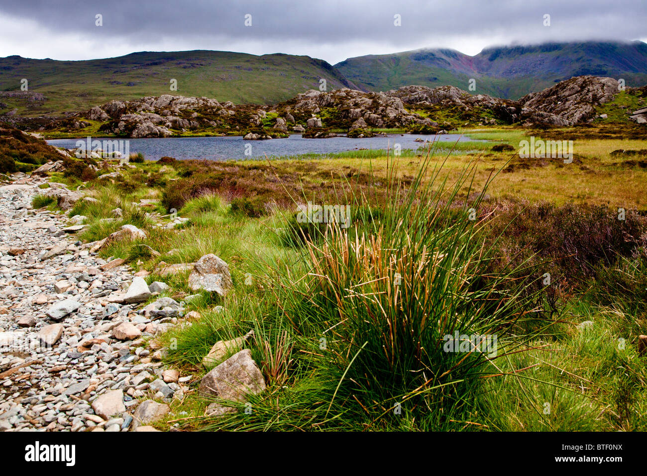 Tarn innommé sur le sommet du foin dans le Lake District, Cumbria, England, UK Banque D'Images