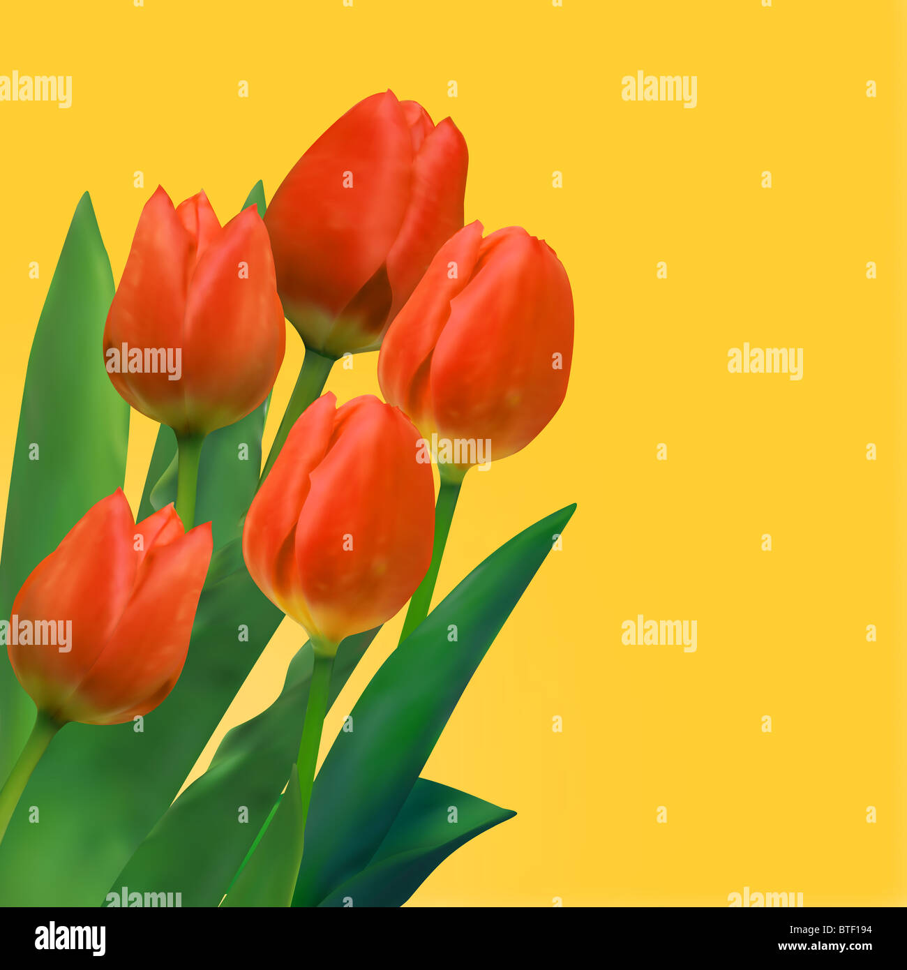 Bouquet de tulipes et d'arrière-plan pour carte post Banque D'Images