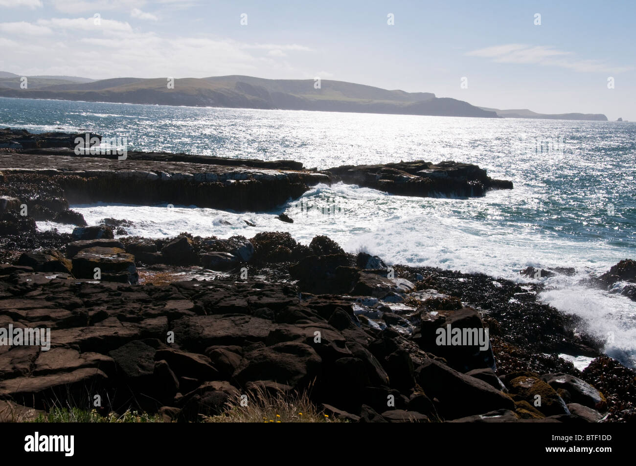 Waipapa Point, Curio Bay,Forêt Pétrifiée Fossell sur fond de mer, Waikawa, Porpoise Bay,l'île du Sud,Catlins, Nouvelle-Zélande Banque D'Images