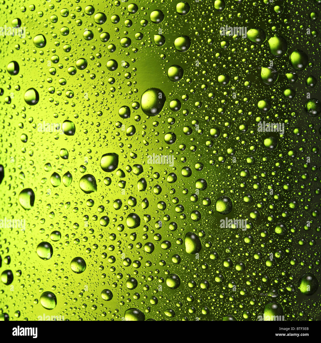 Les gouttes d'eau Texture sur la bouteille de bière. Banque D'Images