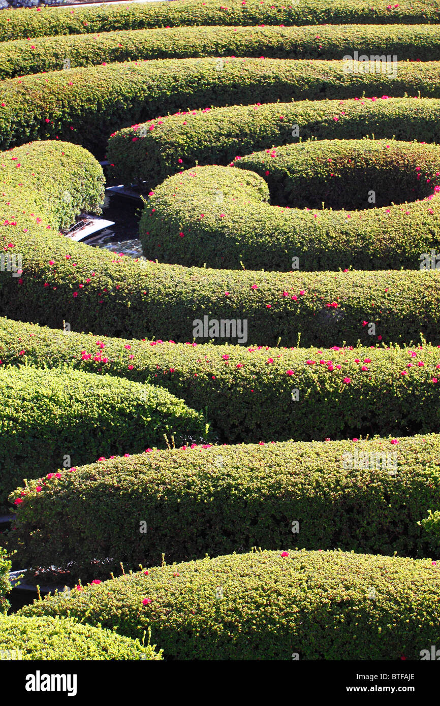 Une vue partielle du centre Getty labyrinthe conçu à l'aide de la couverture à l'intérieur de la plante décorative piscine peu profonde d'eau. Banque D'Images