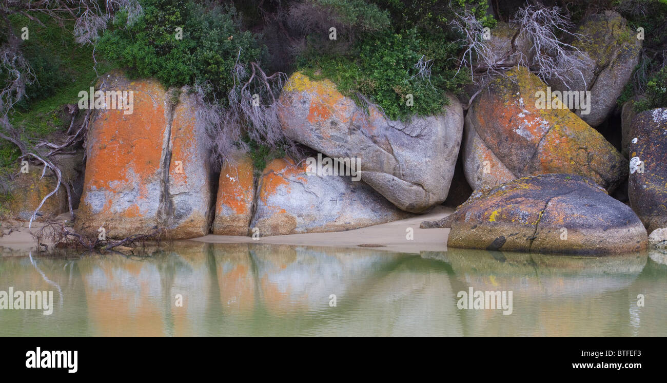 Des roches couvertes de lichen et de réflexion dans l'eau Banque D'Images