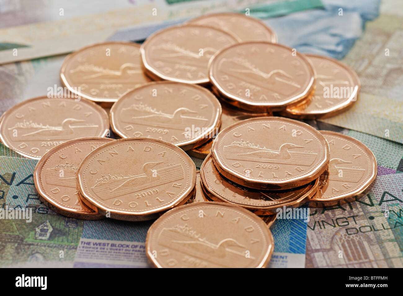 Un portrait d'argent canadien : loonies ainsi que de vingt-cinq dollars. Banque D'Images