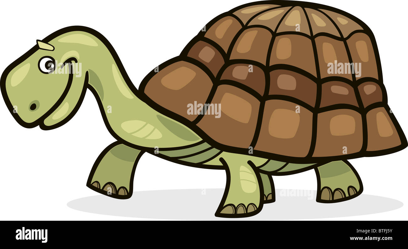 Illustration de funny dessin de tortue Banque D'Images