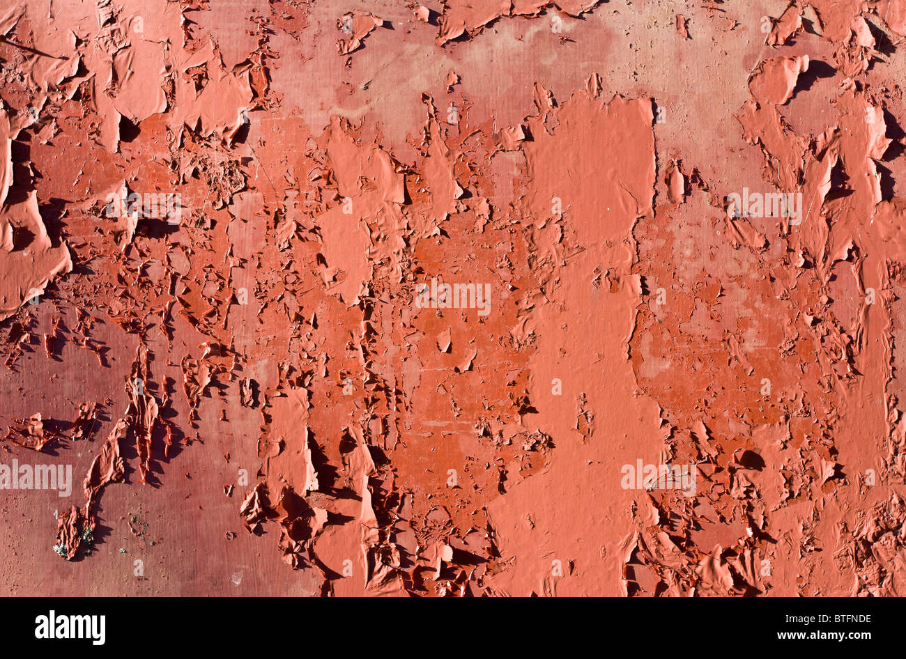 Arrière-plan de l'écaillage de la peinture ou de texture full frame close up. Banque D'Images