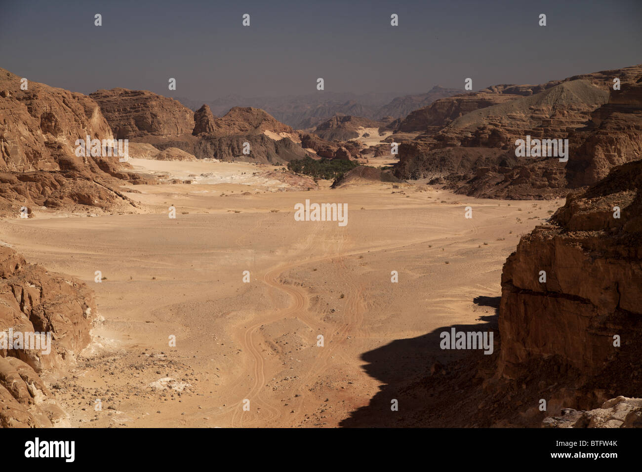 La vallée de Wadi Ghazala et Ain Khudra Oasis, Sinaï, Égypte, Afrique Banque D'Images