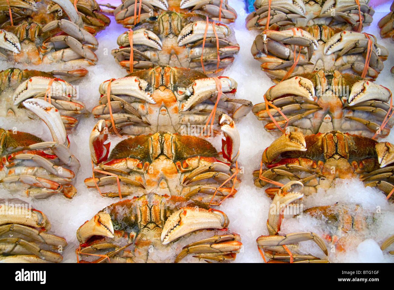 Le crabe vendu à Pike Place Market à Seattle, Washington, USA. Banque D'Images
