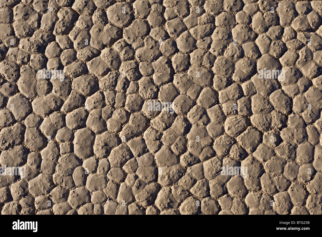 Modèle hexagonal formé dans la boue se fissure au lit du lac à sec de l'Hippodrome Playa dans Death Valley National Park, California USA. Banque D'Images