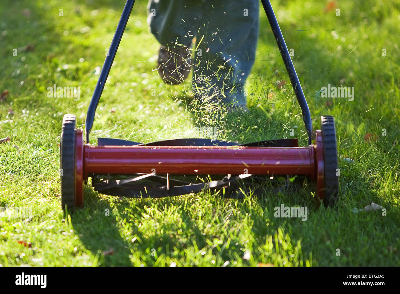 Femme coupé de l'herbe avec une tondeuse à gazon. Banque D'Images Femme coupé de l'herbe avec une tondeuse à gazon. Banque D'Images