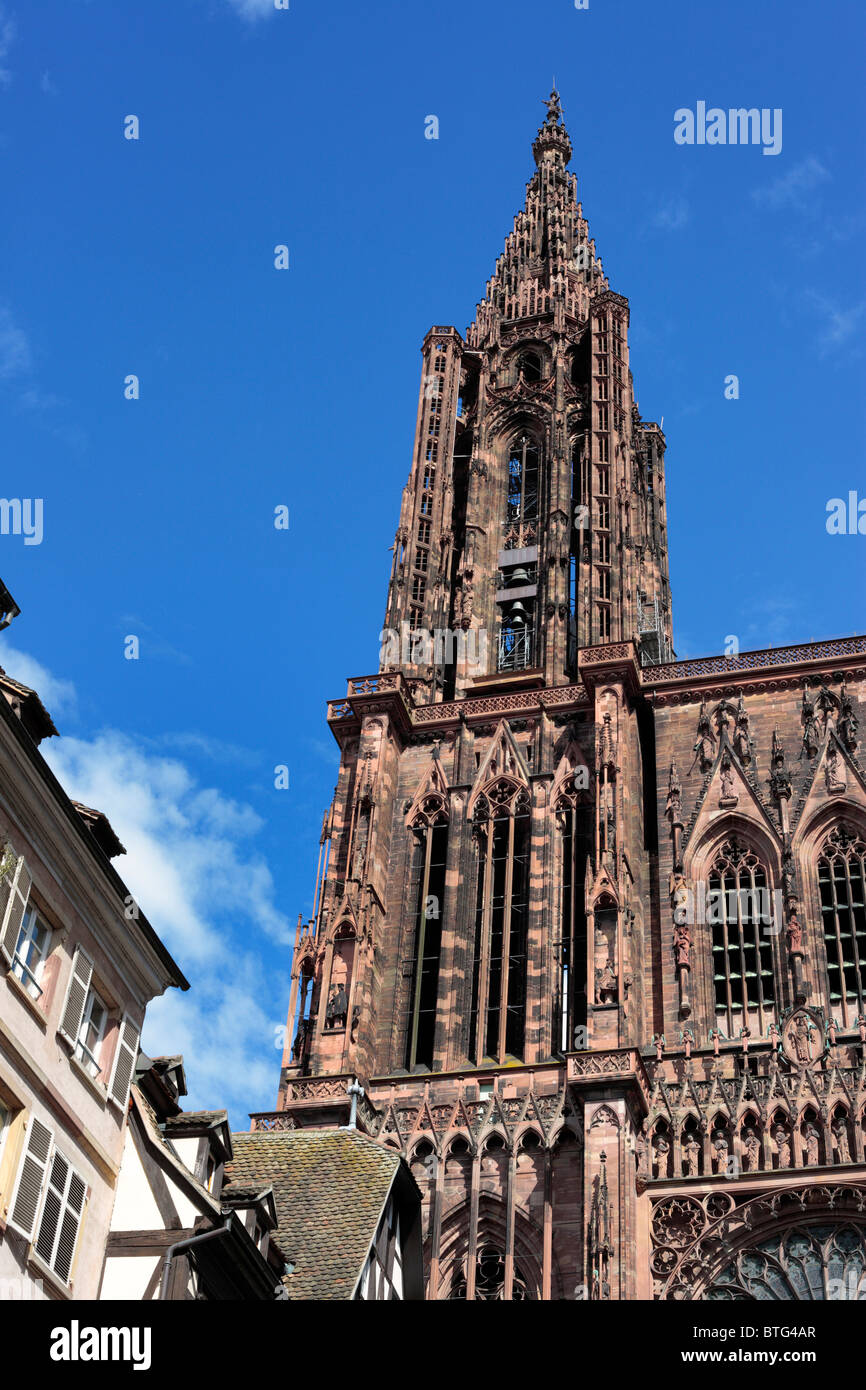 La cathédrale de Strasbourg, Strasbourg, Alsace, France Banque D'Images