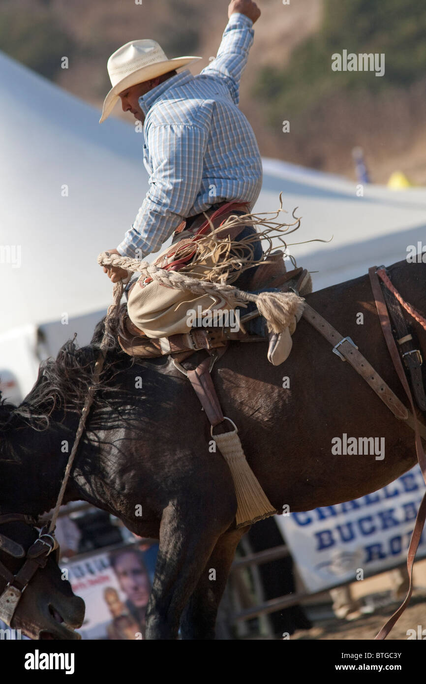 Redelsperger participe à la selle Bronc événement au San Dimas Rodeo à San Dimas, le 2 octobre 2010. Banque D'Images