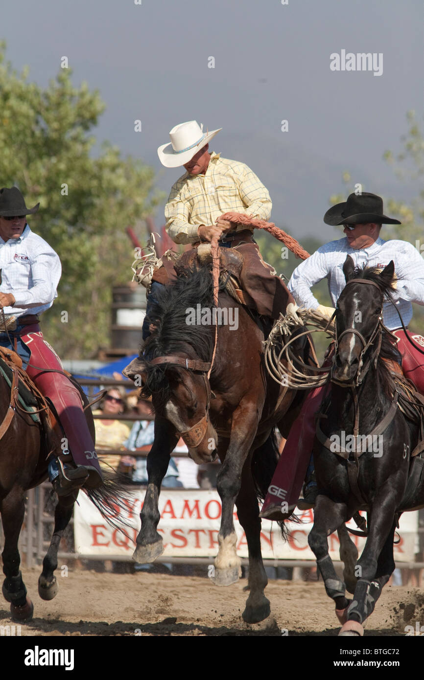 Cowboy non identifié est en concurrence dans la Selle Bronc événement au San Dimas Rodeo à San Dimas, le 2 octobre 2010 Banque D'Images