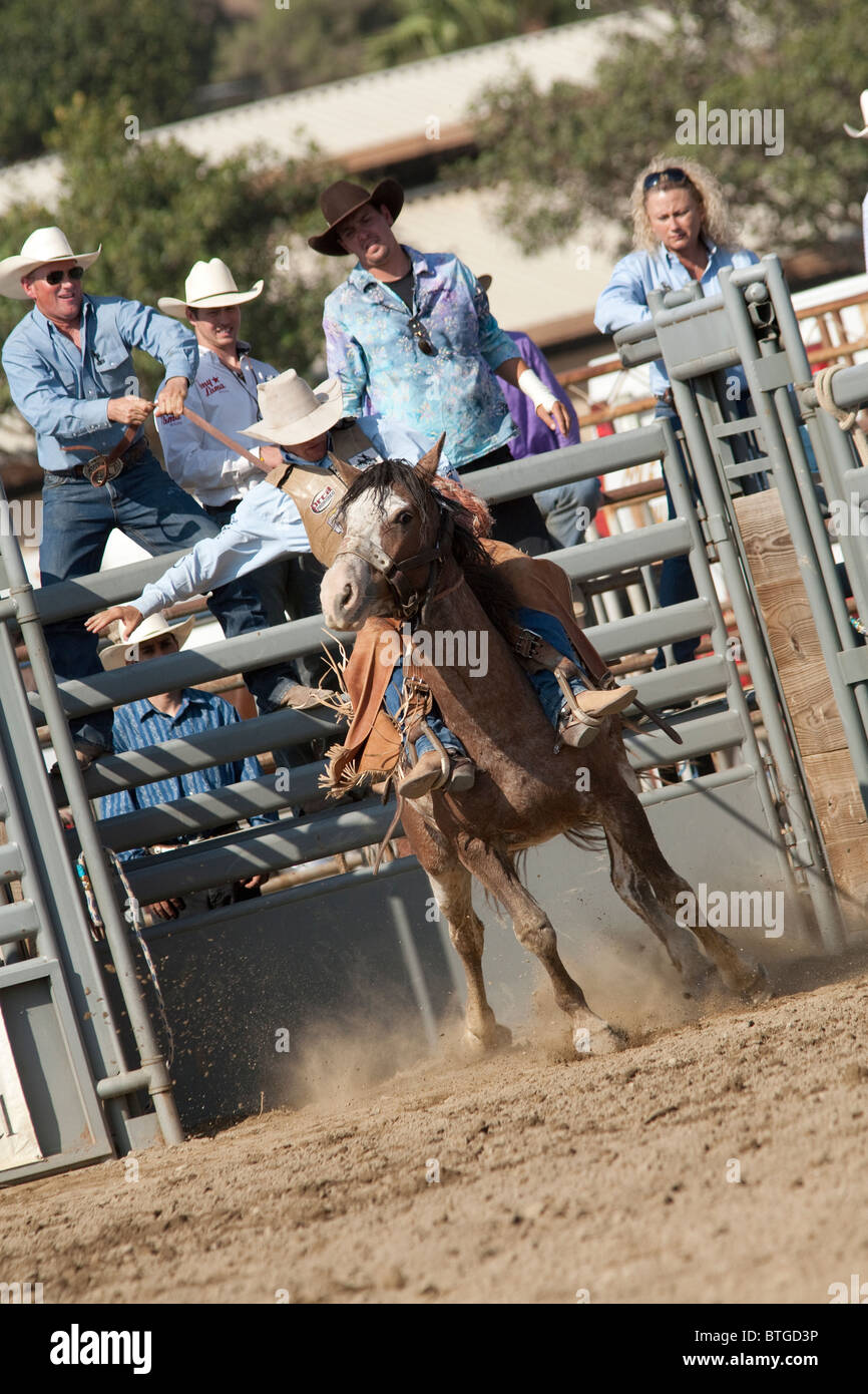 Cowboy non identifié est en concurrence dans la Selle Bronc événement au San Dimas Rodeo à San Dimas, le 2 octobre 2010. Banque D'Images