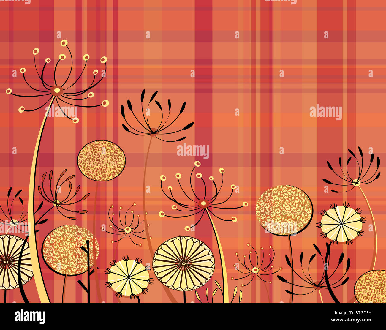 Illustration de fleurs et d'umbellifer générique motif tartan Banque D'Images