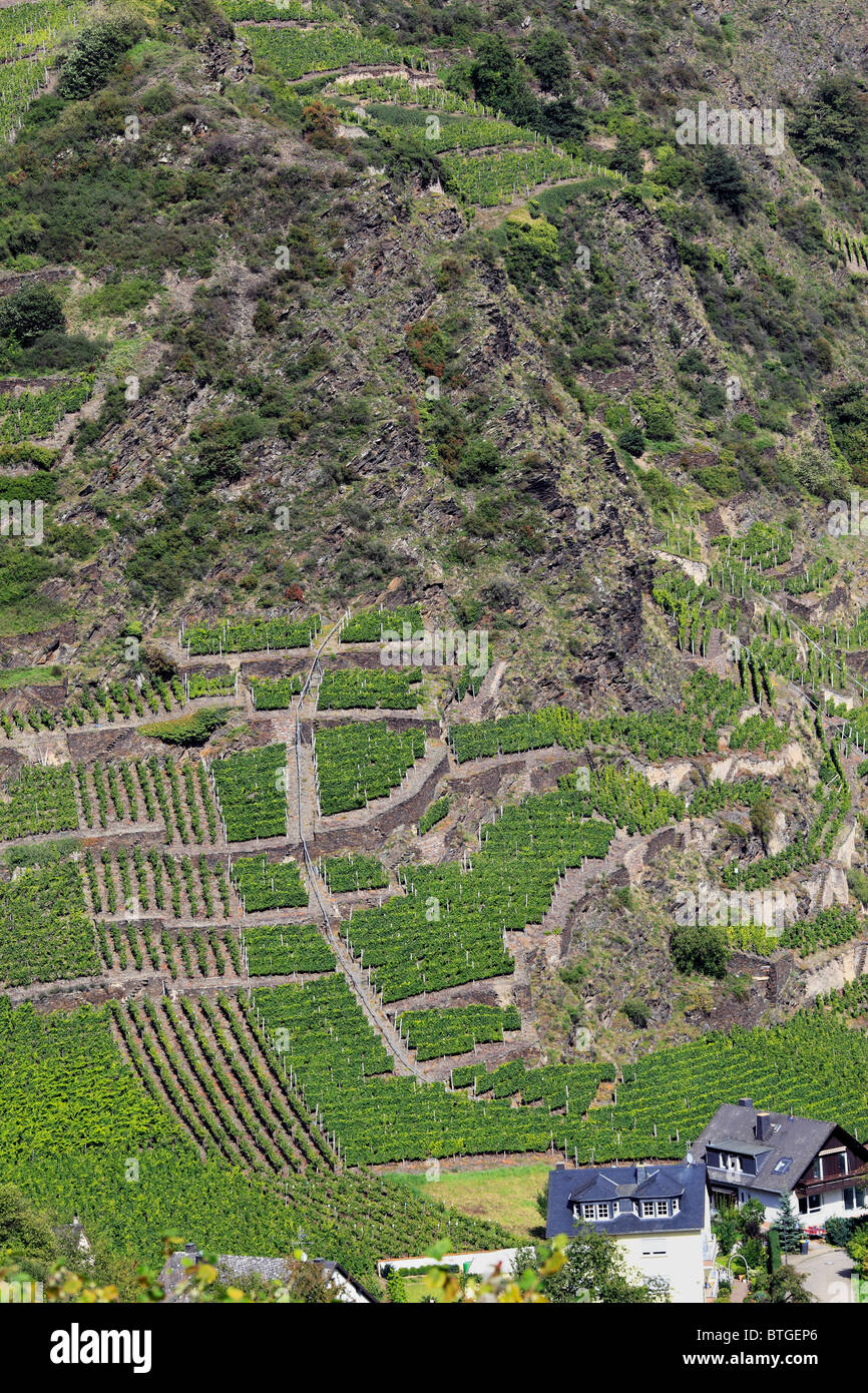 Vue sur vallée de la Moselle, Varazze, Rhénanie-Palatinat, Allemagne Banque D'Images