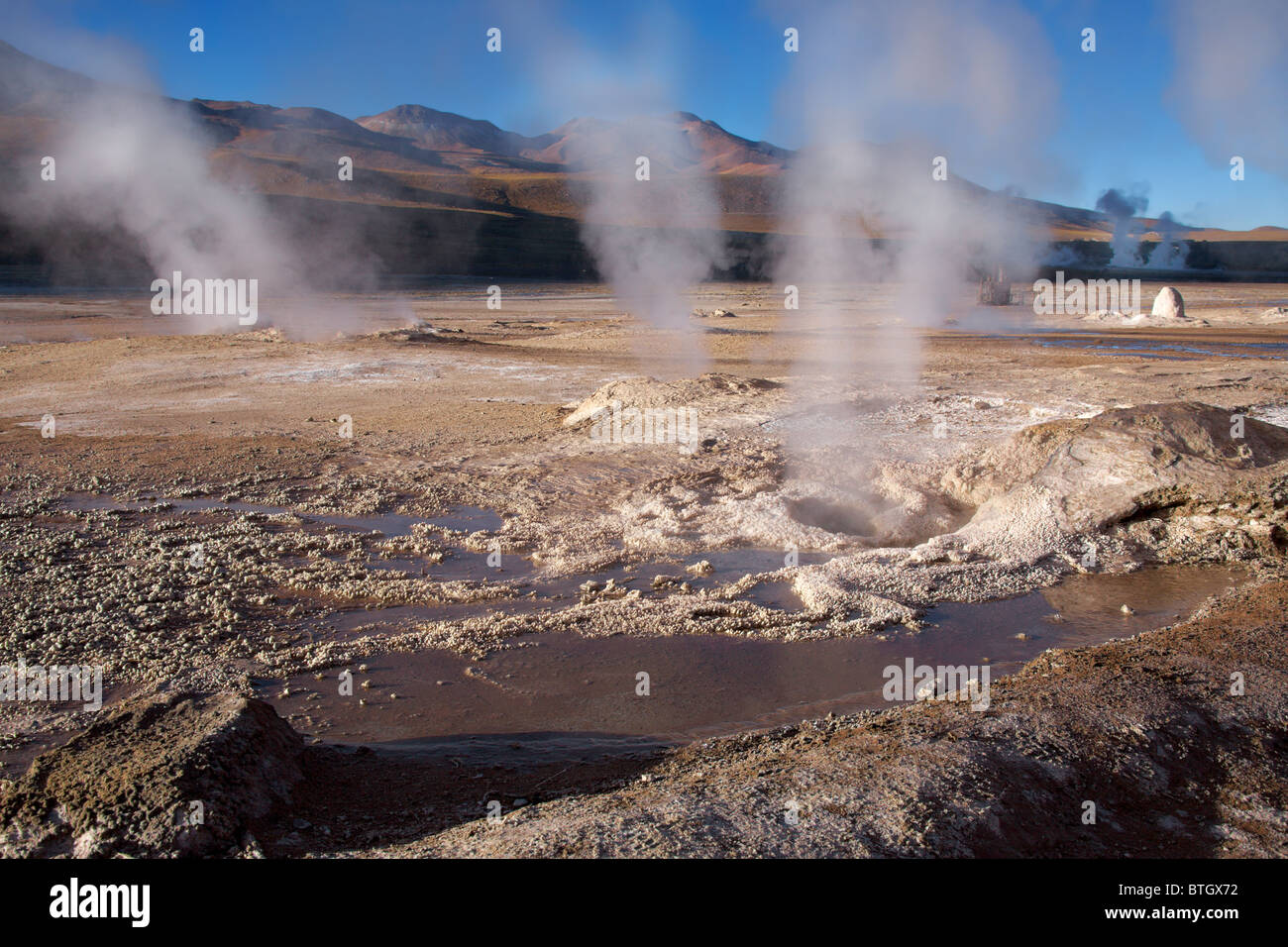 Champ de geysers El Tatio dans Atacama, Chili Banque D'Images