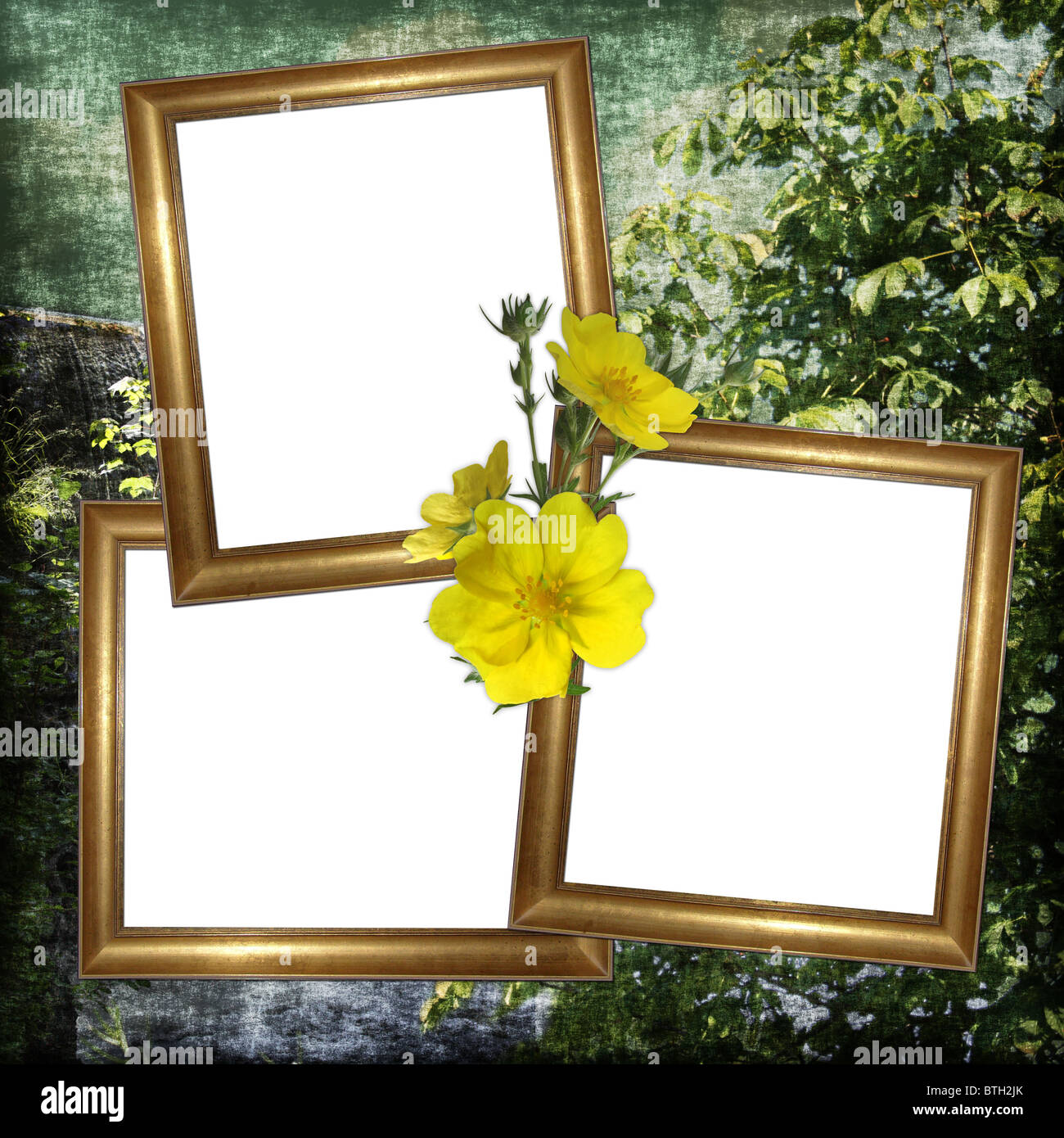 Contexte avec cadre et fleurs Banque D'Images