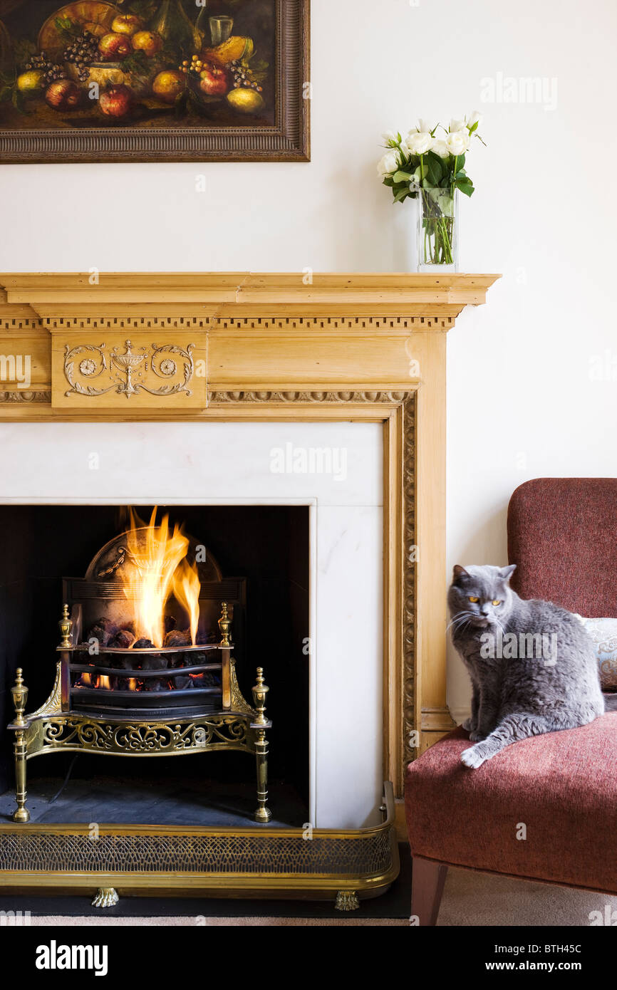 Cheminée avec chat gris intérieur Appartement Banque D'Images