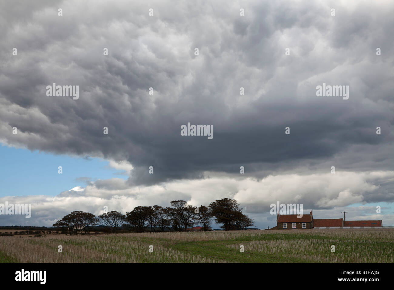Les Cumulonimbus Banque D'Images