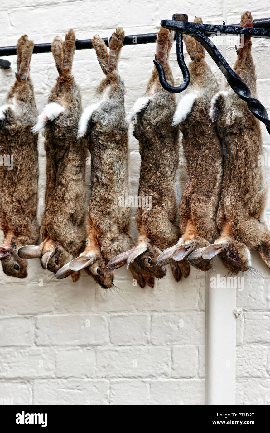 Les lapins étendus dehors D W Wall bouchers dans Ludlow Banque D'Images
