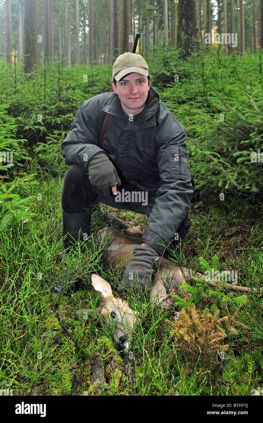 Hunter avec shot le chevreuil (Capreolus capreolus) en forêt dans les Ardennes, Belgique Banque D'Images
