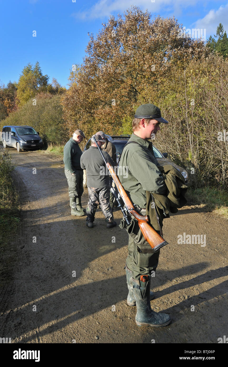 Avec des fusils de chasse dans les Ardennes, Belgique Banque D'Images
