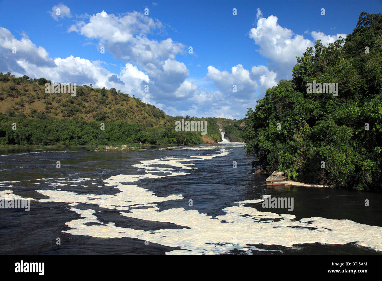 White Nile River dans le parc national de Murchison Falls, en Ouganda, en Afrique de l'Est Banque D'Images