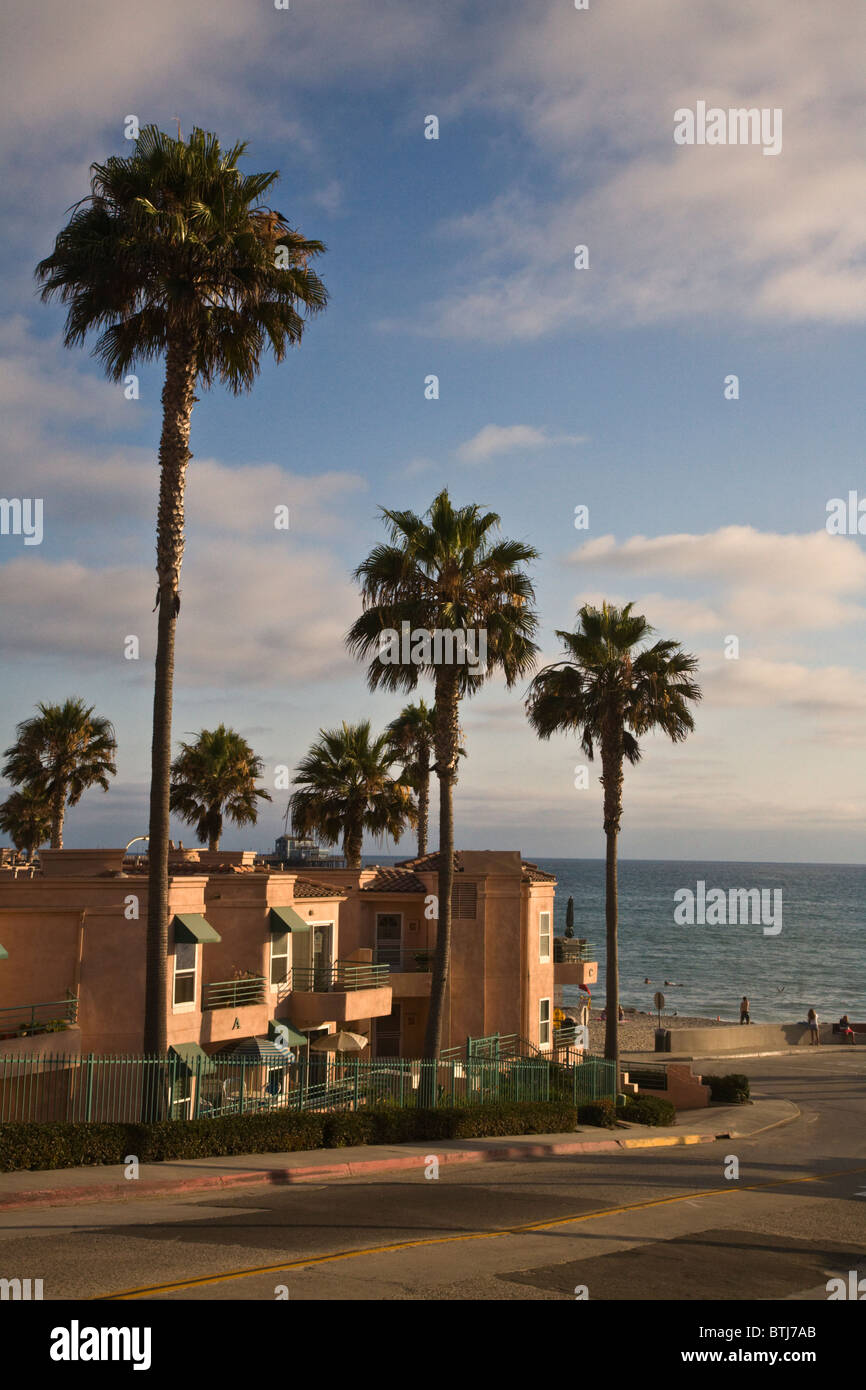 Palmiers dans un quartier situé près de la plage - Oceanside, Californie Banque D'Images