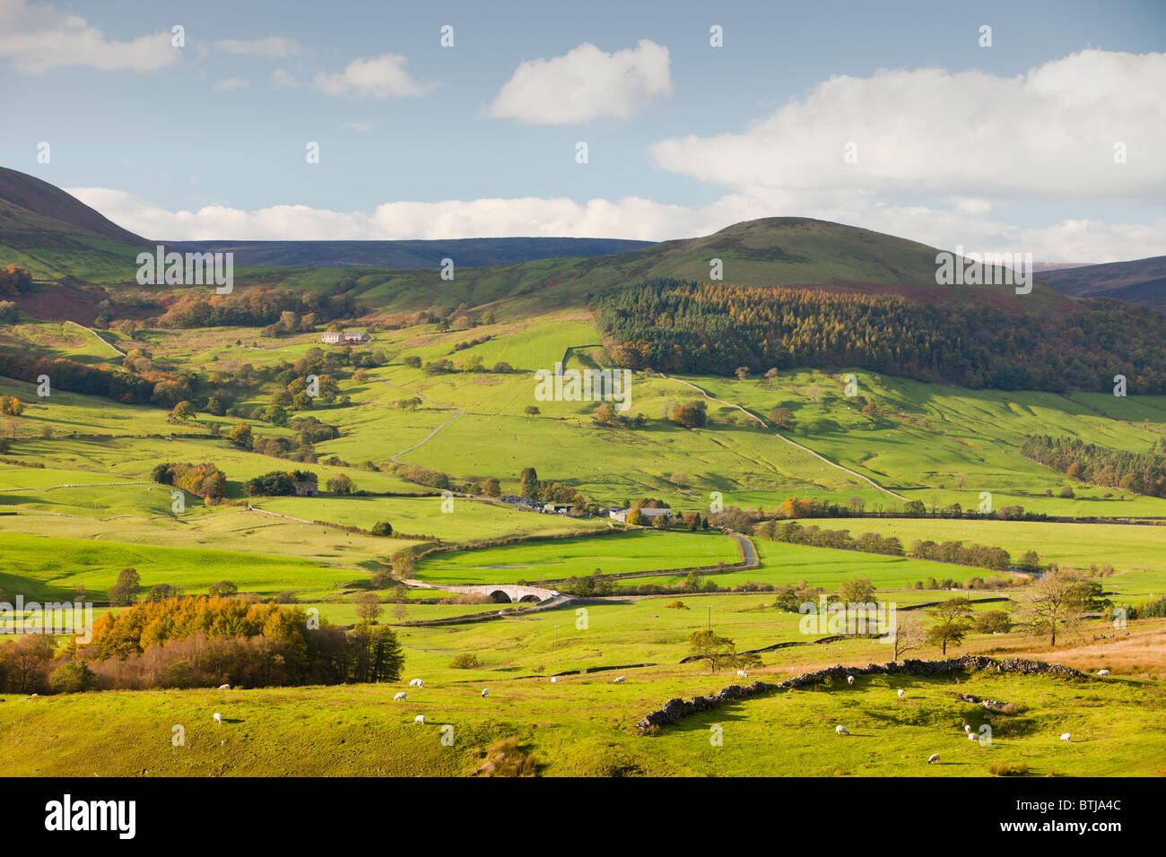 La vallée ci-dessous Hodder Dunsop Bridge dans l'auge de Bowland, Lancashire, Royaume-Uni. Banque D'Images