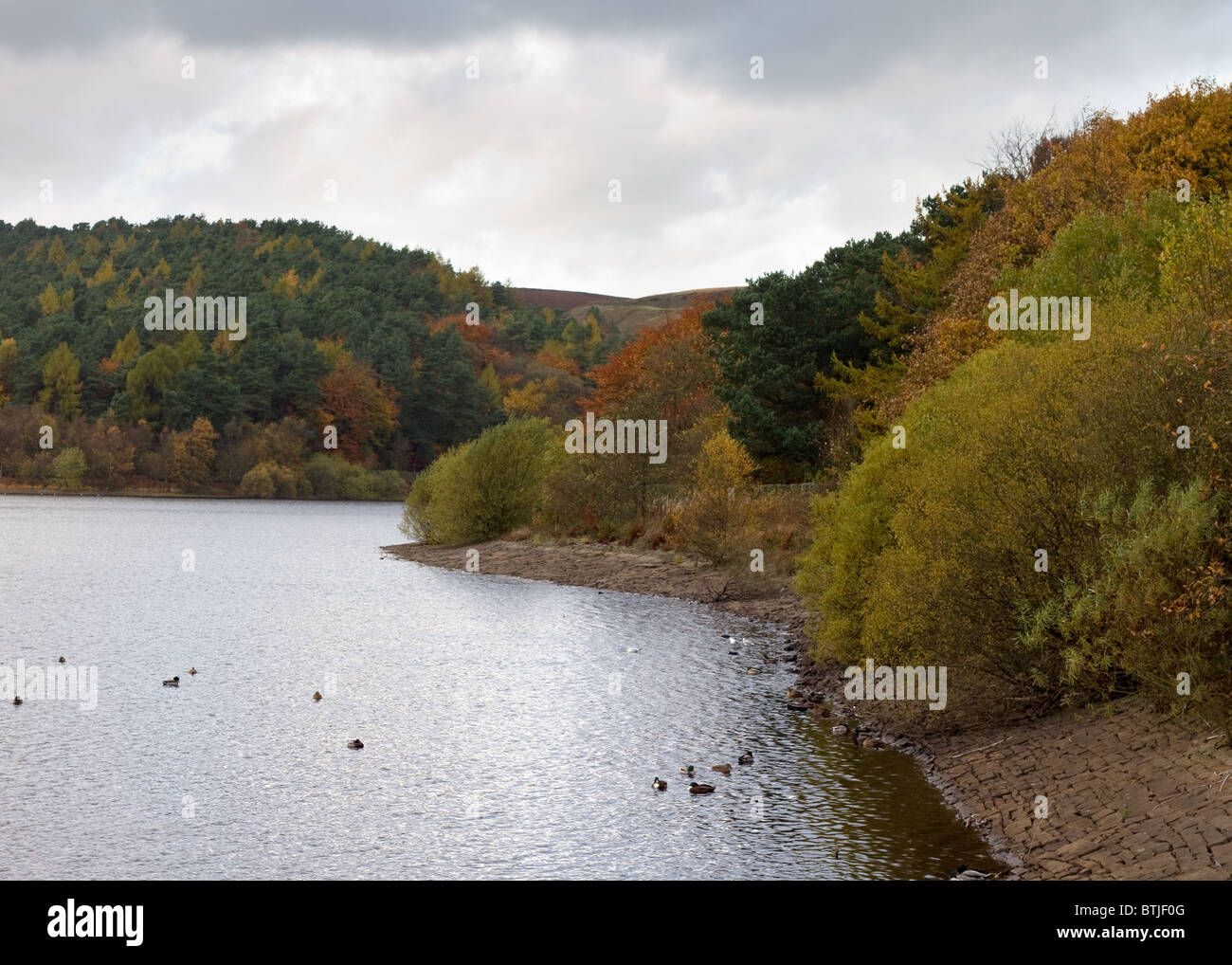 Belles couleurs d'automne l'eau d'Ogden , Yorkshire UK Banque D'Images