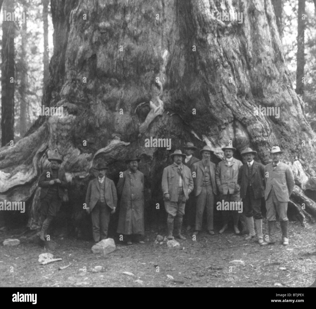 Le président Theodore Roosevelt et son parti, avant l'Grizley', 'géant de grands arbres de Californie au cours de sa tournée dans l'Ouest 1903. Banque D'Images